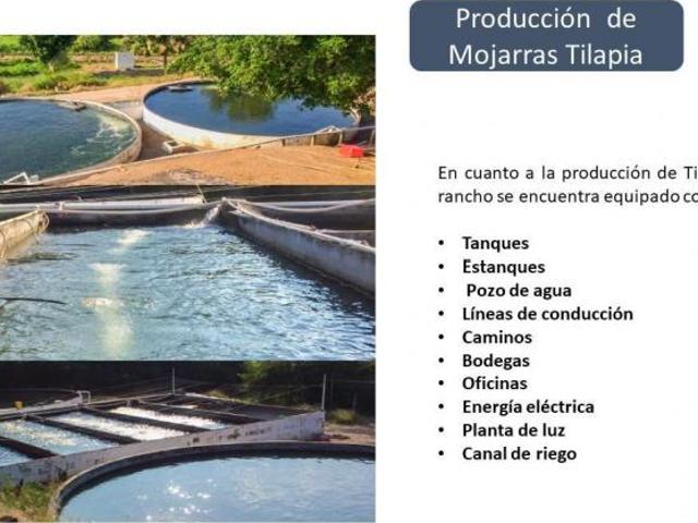 Rancho en venta en Paso de Ovejas