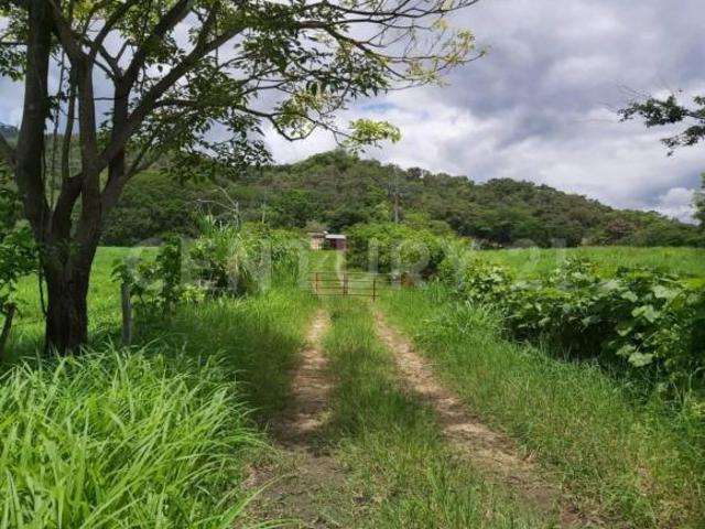 RANCHO EN VENTA DE 150 HECTAREAS, VILLAFLORES, CHIAPAS