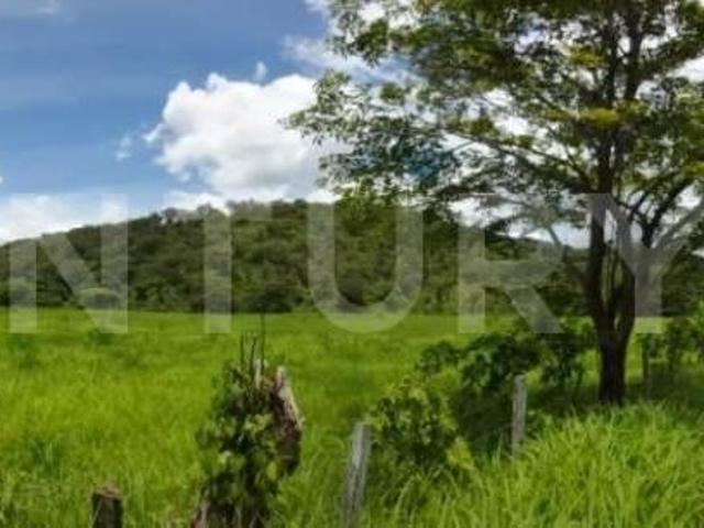 RANCHO EN VENTA DE 150 HECTAREAS, VILLAFLORES, CHIAPAS