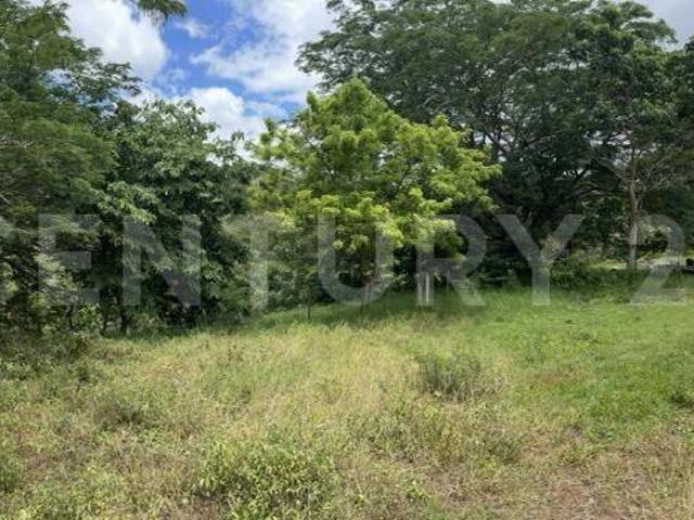 RANCHO EN VENTA DE 150 HECTAREAS, VILLAFLORES, CHIAPAS
