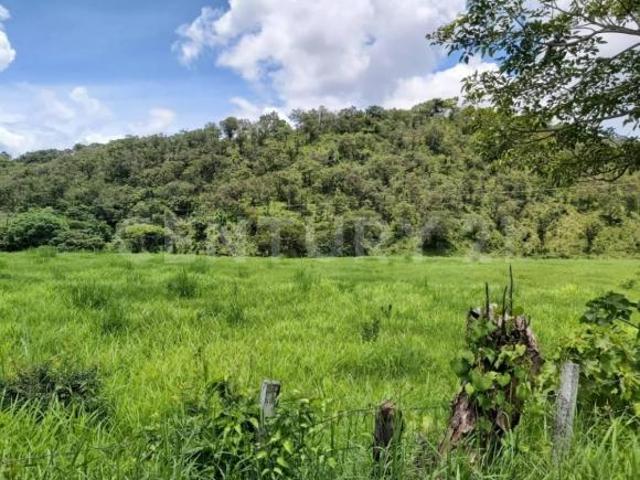 RANCHO EN VENTA DE 150 HECTAREAS, VILLAFLORES, CHIAPAS