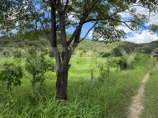 RANCHO EN VENTA DE 150 HECTAREAS, VILLAFLORES, CHIAPAS