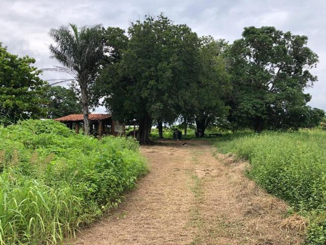 Departamento en venta en Reforma De Pineda, Oaxaca