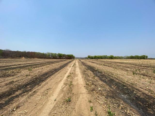 Rancho en venta en Acala