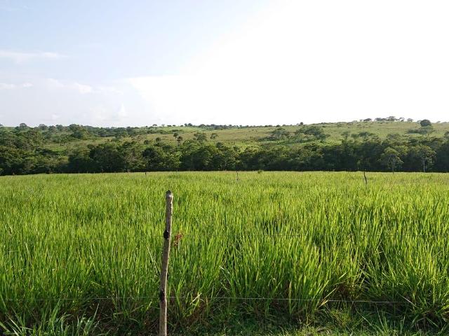 Departamento en venta en Tamalín, Veracruz