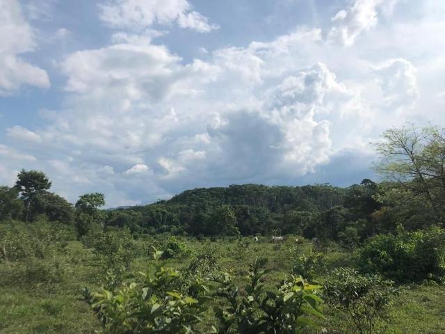 Rancho en venta en Acala