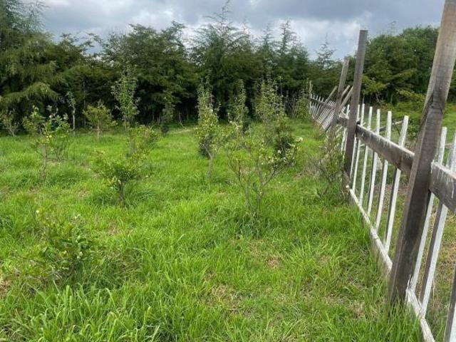 Rancho en venta en Acuitzio del Canje, Michoacán