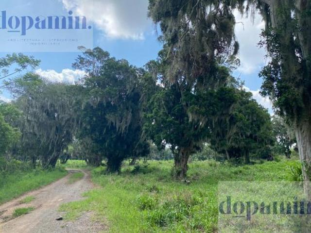 Terreno en venta en Aldama, Tamaulipas