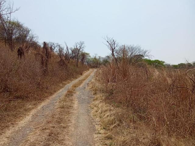 Rancho en venta en Chiapa De Corzo