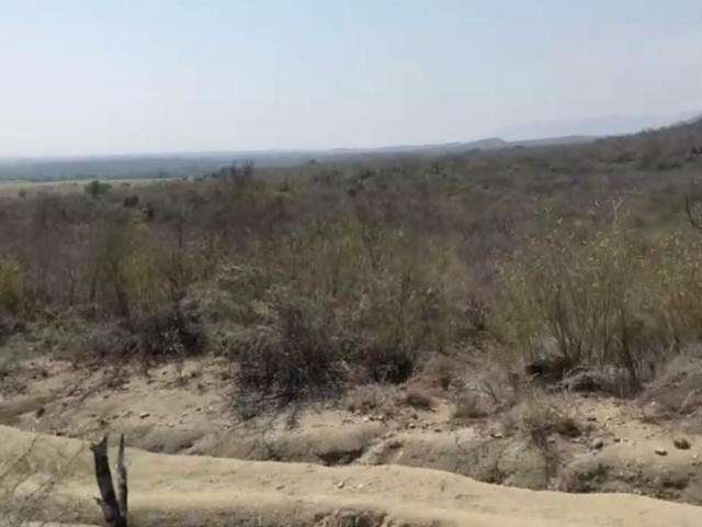 Rancho en venta en Antiguo Morelos, Tamaulipas