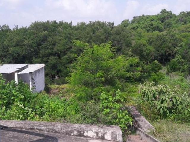 Rancho en venta en Antonio Pil. Paso de Ovejas, Pueblo Cerro de Guzman