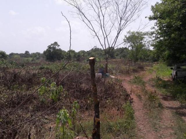 Rancho en venta en Antonio Pil. Paso de Ovejas, Pueblo Cerro de Guzman