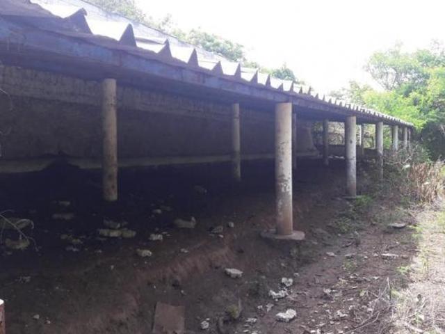 Rancho en venta en Antonio Pil. Paso de Ovejas, Pueblo Cerro de Guzman