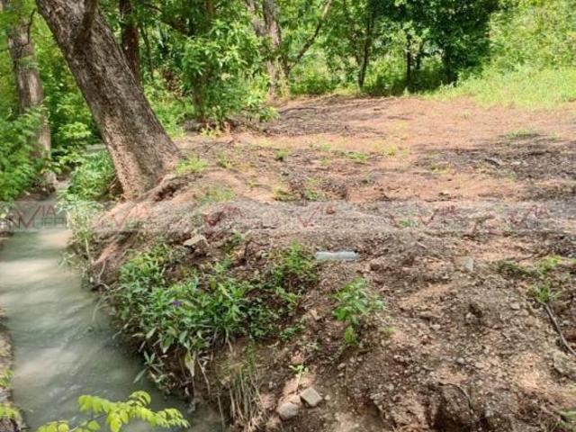 Rancho en venta en Bustamante, Nuevo León