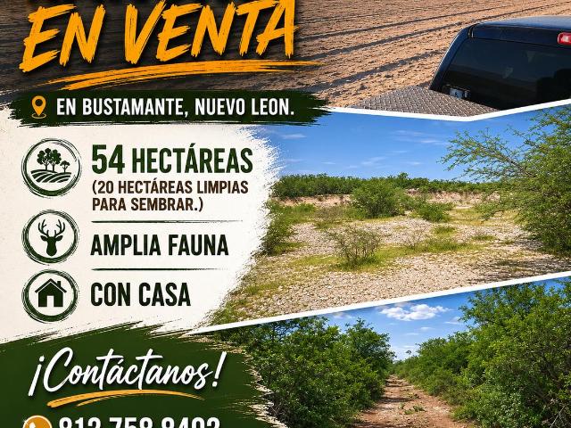 Terreno en venta en Bustamante, Nuevo León