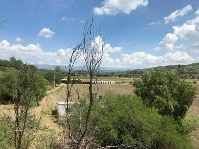 Rancho en venta en Calvillo