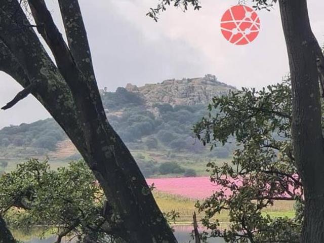 Rancho en venta en Calvillo