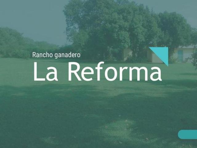 Rancho en venta en Jamapa, Veracruz