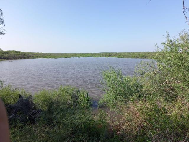 Rancho en venta en China, Nuevo León