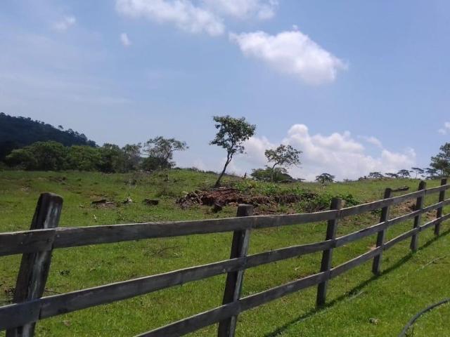 Rancho en venta en Cintalapa