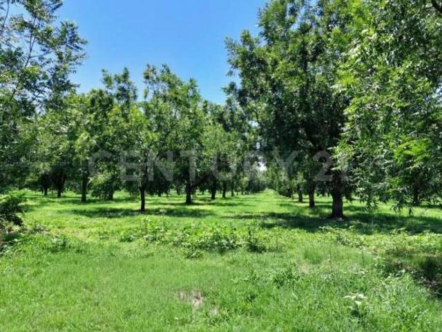 Terreno en venta en Delicias