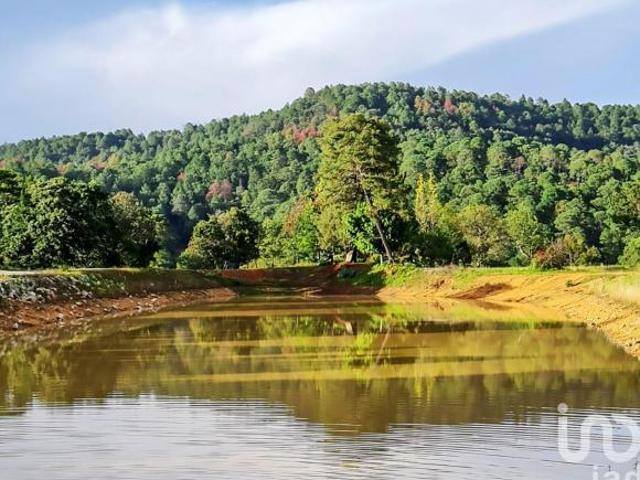 Rancho en venta en Coatepec Harinas, Estado de México