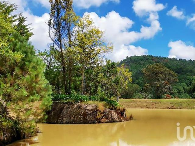 RANCHO en VENTA en COATEPEC de las HARINAS