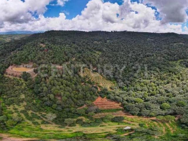 Rancho en venta en Coatepec de las Harinas, Estado de México
