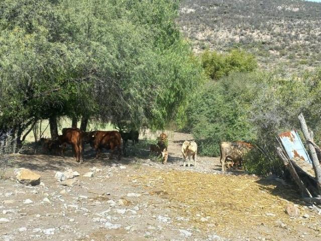 Rancho en venta en Colón, Querétaro