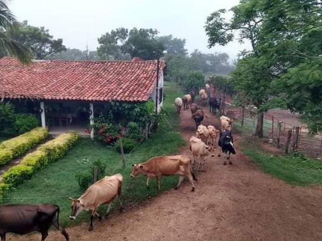 Rancho en venta en Villaflores