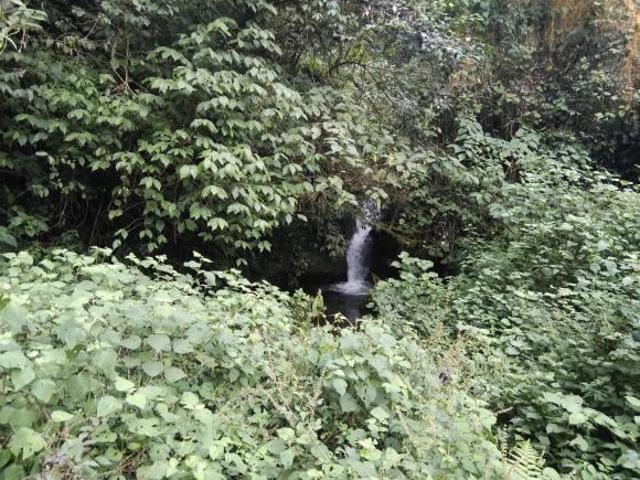 RANCHO EN VENTA EN EL ESTADO DE HIDALGO