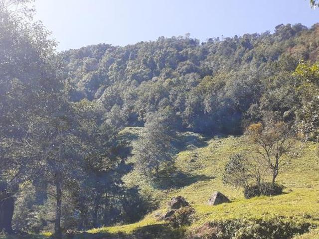 RANCHO EN VENTA EN EL ESTADO DE HIDALGO
