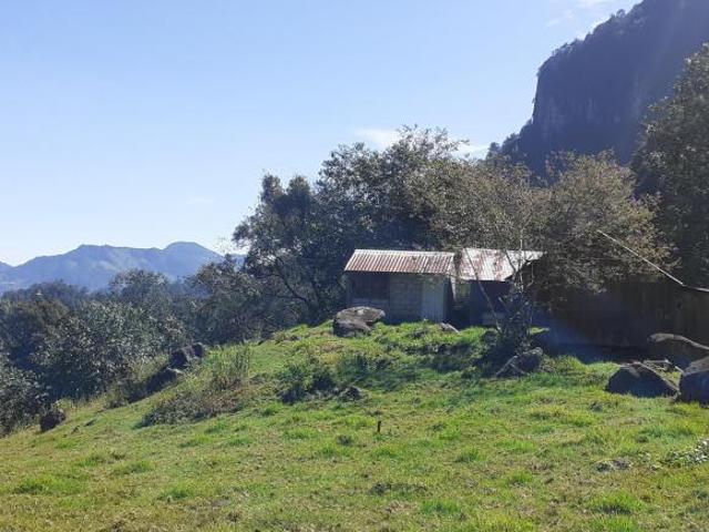 RANCHO EN VENTA EN EL ESTADO DE HIDALGO