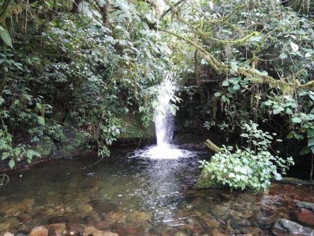RANCHO EN VENTA EN EL ESTADO DE HIDALGO