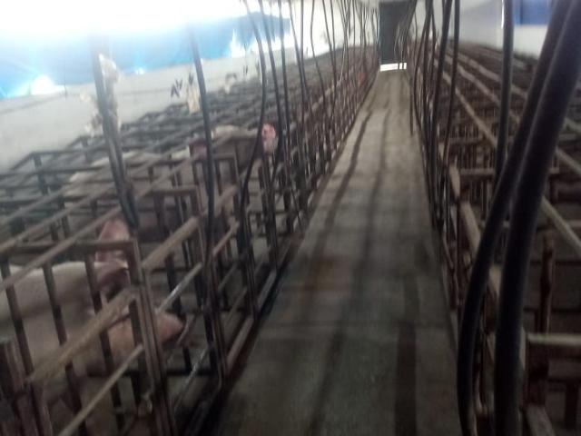 Rancho en venta en Colón, Querétaro