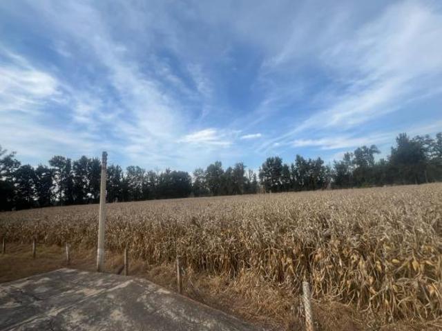 Rancho en venta en Zapotlanejo, Jalisco