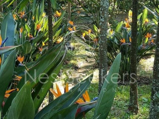 Rancho en venta en Valle De Bravo, Estado de México