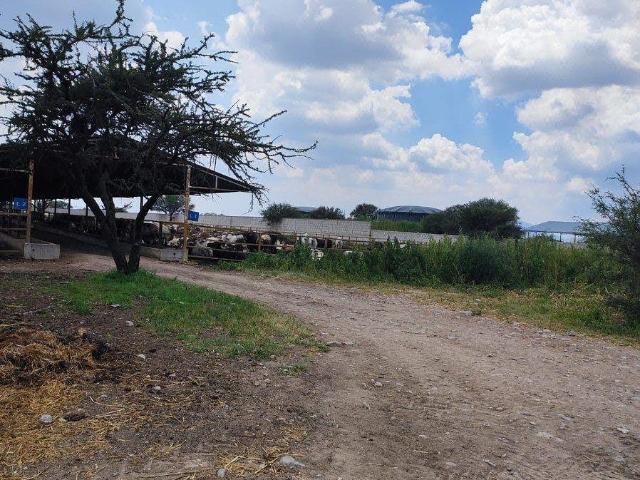 Departamento en venta en Sombrerete, Ezequiel Montes