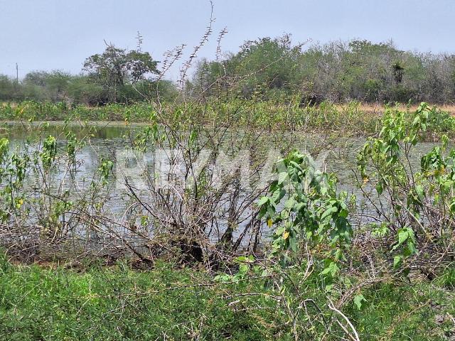 Quinta en venta en González, Tamaulipas