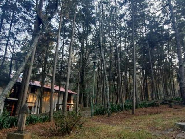 RANCHO EN VENTA EN HUASCA DE OCAMPO, HIDALGO
