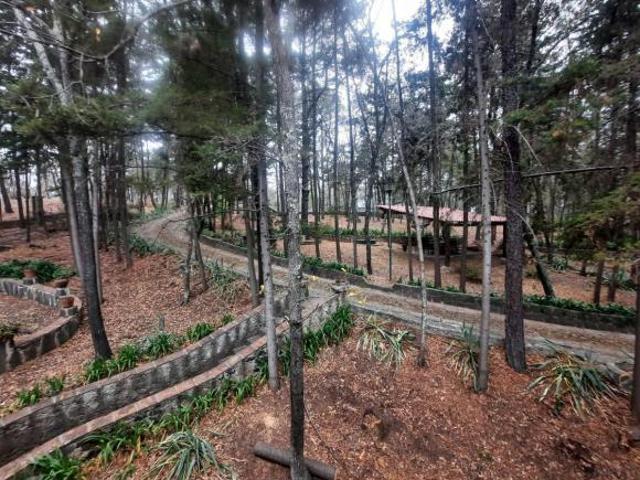 RANCHO EN VENTA EN HUASCA DE OCAMPO, HIDALGO