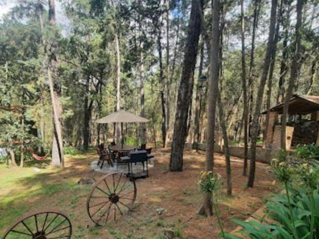 RANCHO EN VENTA EN HUASCA DE OCAMPO, HIDALGO
