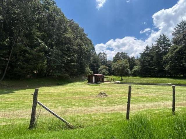 Rancho en venta en Jilotzingo, Hueypoxtla