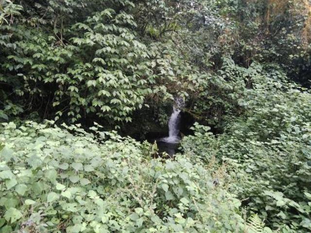 Rancho en venta en Tenango de Doria