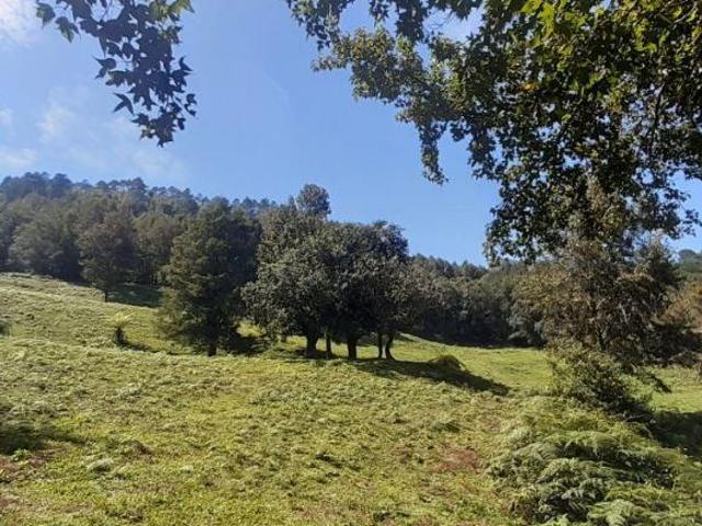 Rancho en venta en Tenango De Doria, Hidalgo