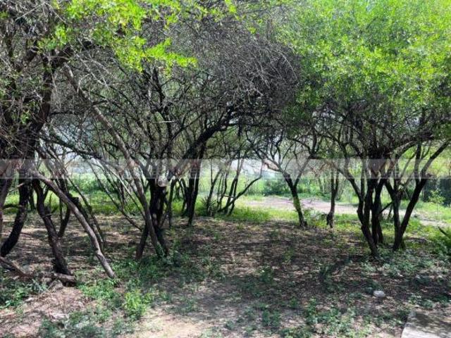 Rancho en venta en Linares