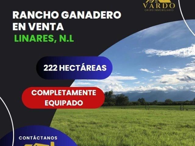 Rancho en venta en Linares, Nuevo León