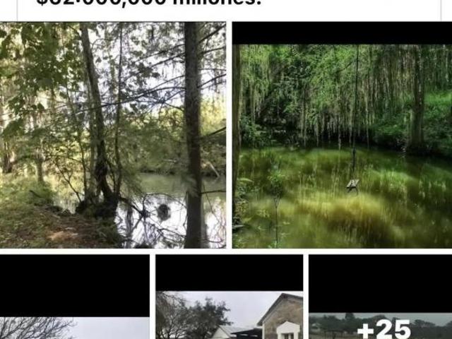 Rancho en venta en Linares, Nuevo León