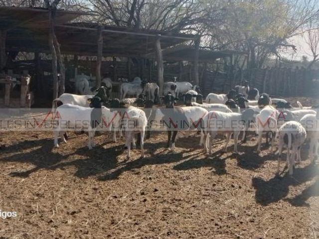 Rancho en venta en Los Ramones, Nuevo León