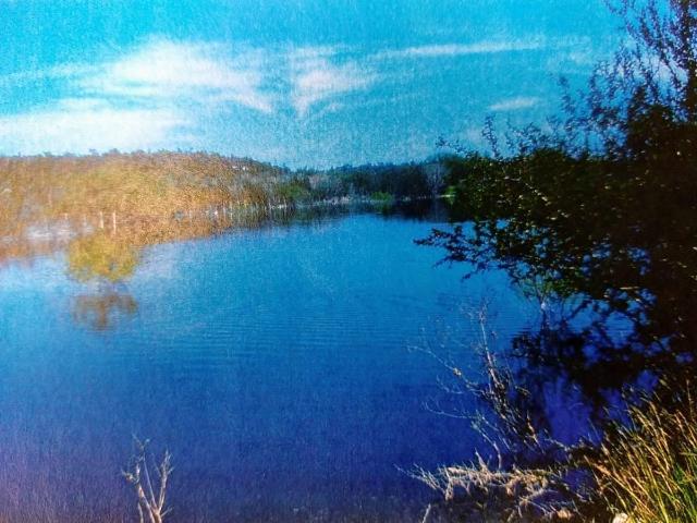 Rancho en venta en Los Ramones, Nuevo León